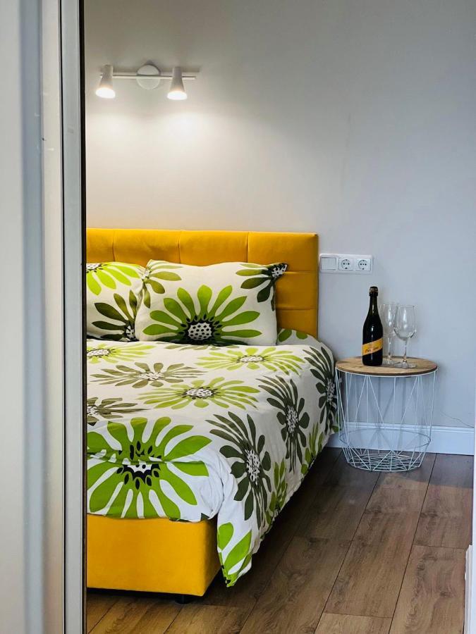 Apartment Belveder Center